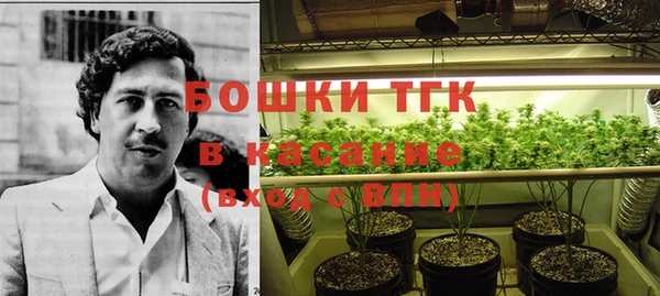 тгк Армянск