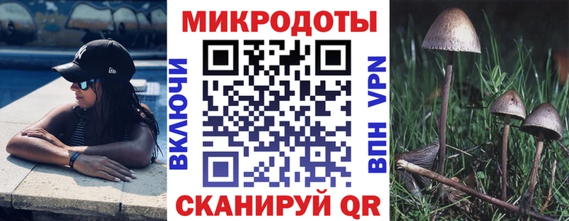 закладка Сорск Псилоцибиновые грибы Cubensis
