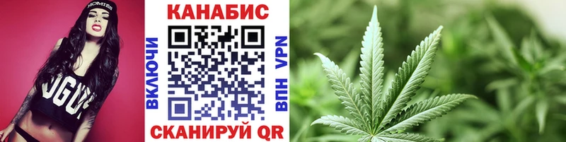 как найти   Сорск  Марихуана Amnesia 